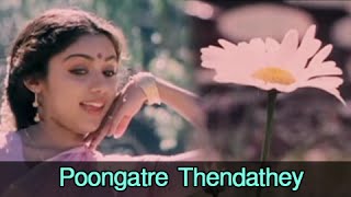 Poongatre Thendathey - Mohan Ilavarasi - Kunguma C