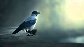 Armin van Buuren ft. Nadia Ali - Who Is Watching? (Original Mix)