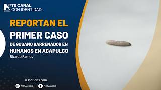 Reportan el primer caso de gusano barrenador en humanos en Acapulco
