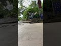 The Wonders Of Pigeon Flight Captured In Slow Motion Shorts