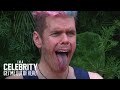Oh My Gob Part 2 I M A Celebrity Get Me Out Of Here Australia