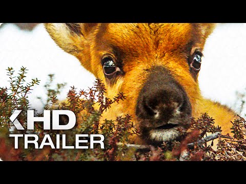 AILOS REISE Trailer German Deutsch (2019)