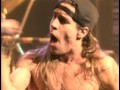 RHCP Special Secret Song Inside