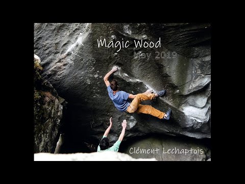Magic Wood - May 2019 | Clément Lechaptois