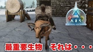 【ゆっくり実況】ARK Survival Ascended PS5　ようやくASAも中盤ではないかと思う出来事の件 　　#17