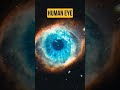 Helix Nebula as compared to Human Eye #helixnebula #humaneye #galaxy  #nasa #space #spacediscovery