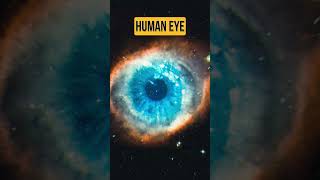 Helix Nebula as compared to Human Eye #helixnebula #humaneye #galaxy  #nasa #space #spacediscovery