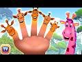 Finger Family Song Giraffe Kids Songs And Learning Videos ChuChu TV Classics Nurseryrhymes