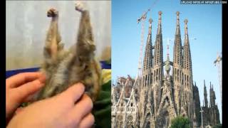 Grischa Lichtenberger - Uu78