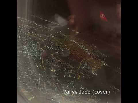 Pritom Hasan - Paliye Jabo (cover)