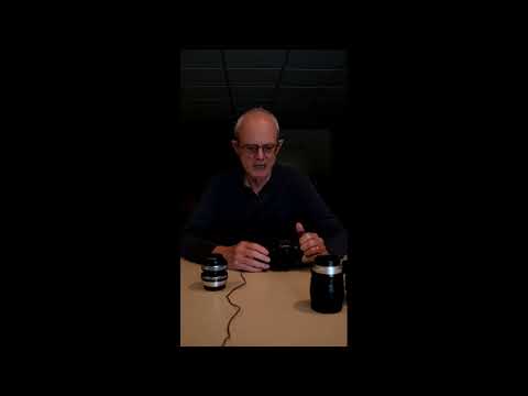 Intentional Camera Movement (ICM) for Vegetation