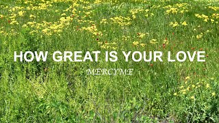 MercyMe - How Great Is Your Love (Lyric Video)