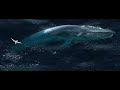 Happy Feet Mumble Meets A Blue Whale 2007