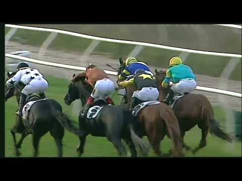 Napoli Galoppo 29/11/2022 - 3ª corsa