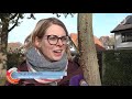 Tuinmeubilair, sluipwespen en narcissen nu al ingezet tegen eikenprocessierups