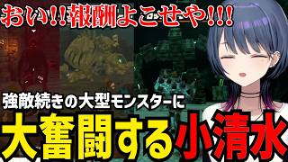 【 ゼルダの伝説 ティアーズ オブ ザ キングダム#11】強敵続きの大型モンスターに大奮闘する小清水【小清水 透切り抜き】※ネタバレあり