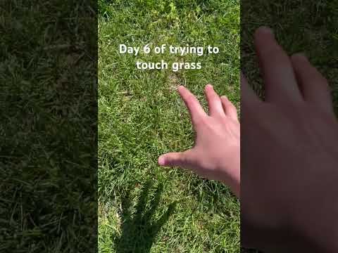 Why can’t I touch it #Fortnite