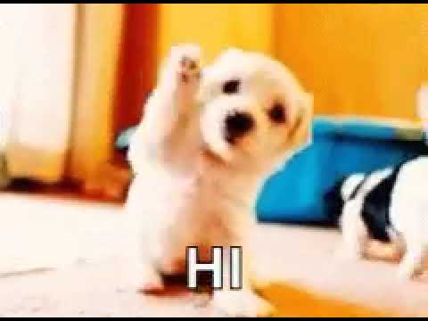 PREKSHARAKSH🍒  official❤️❤️