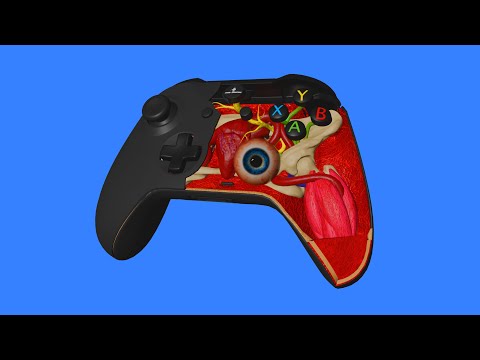 How a Gamepad works