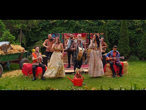 @DamianAndBrothers  - Rapirea din Serai | Live 💔