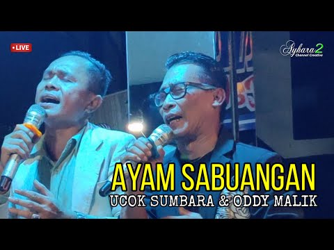 Nasib Cando Ayam Sabuangan Live Terbaru 2023 Ucok Sumbara feat Ody Malik