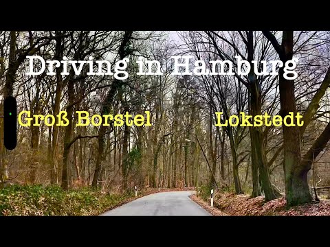 Driving in Hamburg *[Groß Borstel ➡️ Lokstedt]**[4K]*