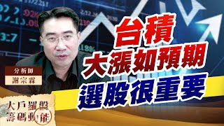 台積大漲如預期 選股很重要 (圖)