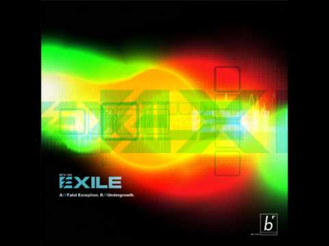 Exile - fatal exception