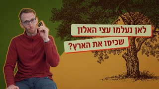 לאן נעלמו האלונים?