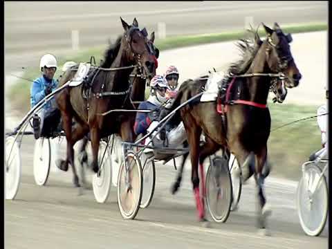 Trotto 15/11/2019 - 4ª corsa