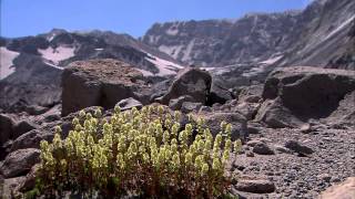 PBS NOVA Mount St Helens 720p HDTV