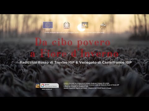 Da cibo povero a Fiore d’Inverno