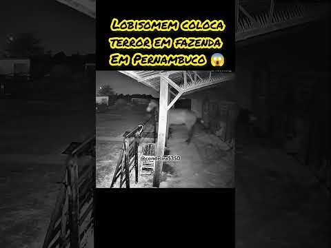 lobisomem coloca terror em Pernambuco 😱😱#shorts #bizarro #lendas #lobisomem 😱😱😱