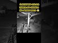 Lobisomem Coloca Terror Em Pernambuco Shorts Bizarro Lendas Lobisomem