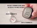 Roast Pork Meat Thermometer Temperature Download Lyrics Mp3 and Mp4