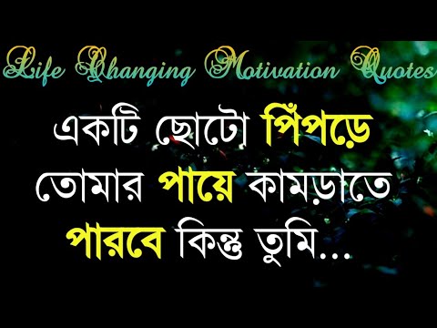 Life Changing Motivational Quotes In Bengali | Monishider Bani By Success Motivation Bangla