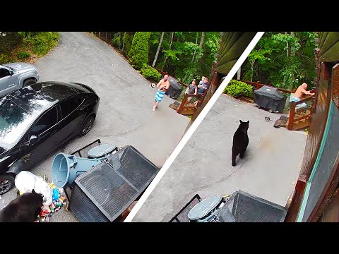 Funny Videos 2025: When Things Don't Go Your Way...