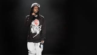 Lil Wayne   Hot Boy