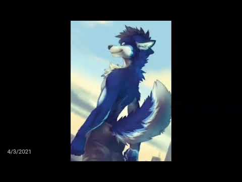 AMV   Furry#30