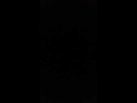 Montana YRN X Starzzy  - # Pagans 2