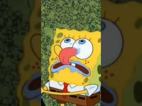 Tasty meme || 😂😂🤣🤣