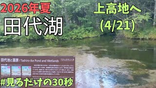 上高地散策2026.8.13（4/21） 田代湖