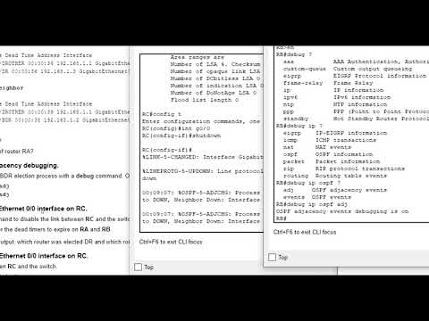 Packet Tracer 2.3.11 - Determine the DR and BDR (NET 225)