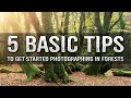 5 TIPS for FOREST photography
