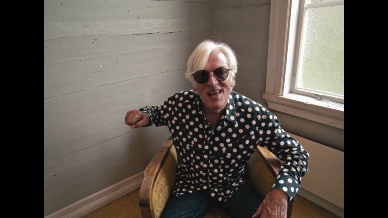 Robyn Hitchcock - 