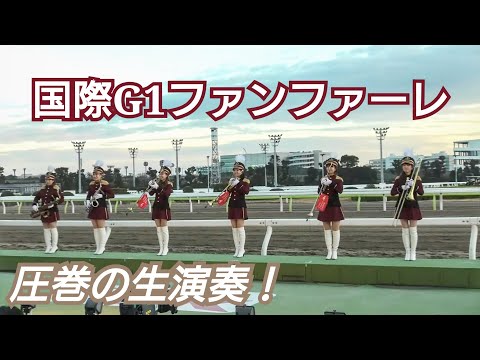 【高音質】2019年 東京大賞典 国際G1ファンファーレ生演奏