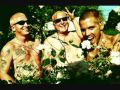 Sublime- I Don't Care Too Much For Reggae Dub