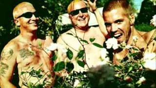 Sublime- I Don&#39;t Care Too Much For Reggae Dub