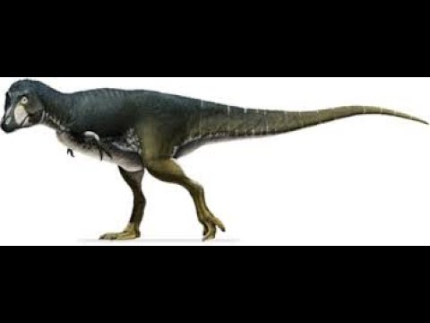 Lythronax vs Nanotyrannus | Stick Nodes