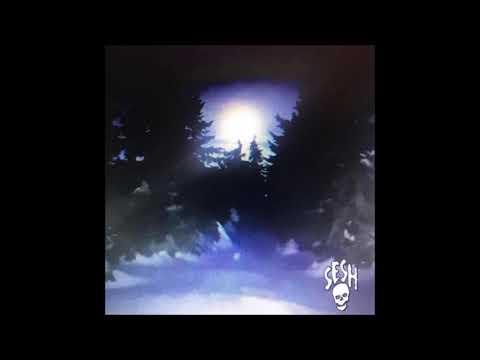 03. Vegard - Setting